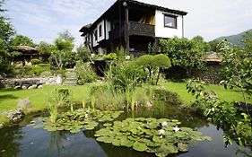 Старата къща / село Тъжа